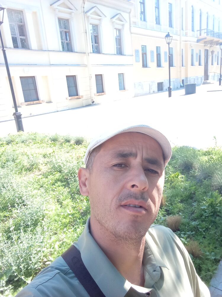  43466528  , 44 ,    