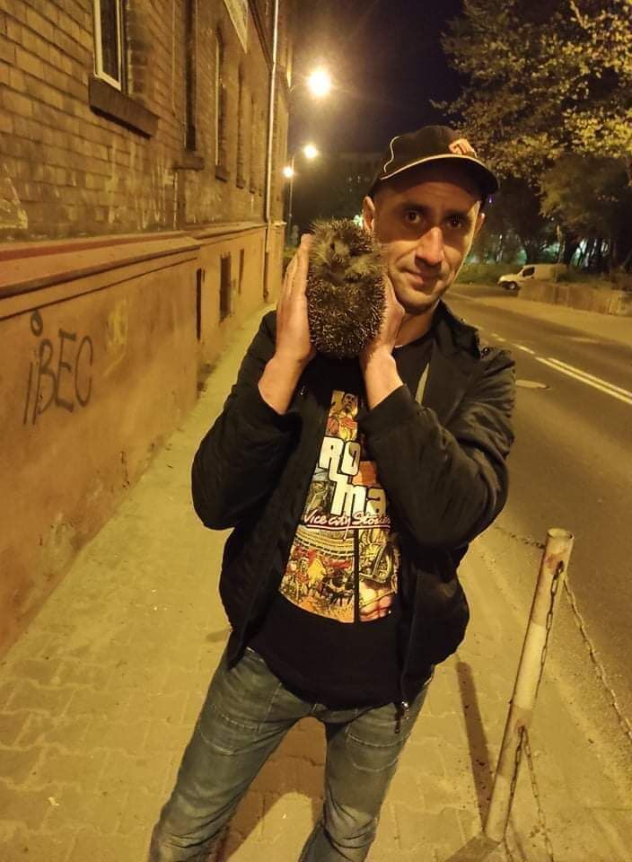  ,   , 41 ,   c , 