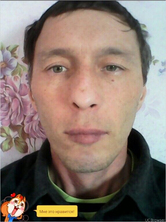  ,   , 53 ,   