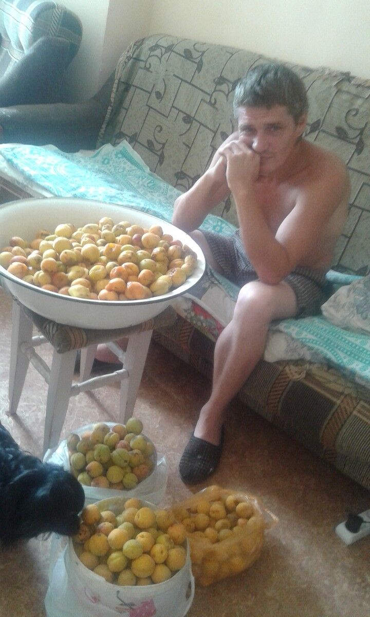  ,   , 46 ,  