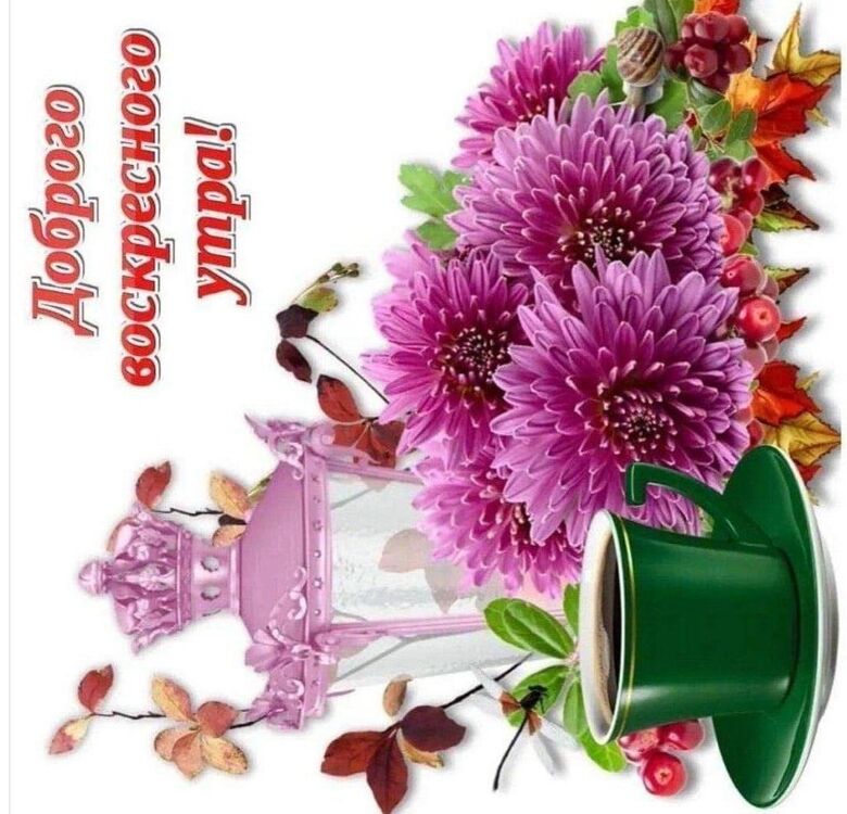 ���� 35291448 ������� �����, 57 ���, ���� ���������� � ������