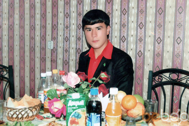 ���� 1146608 ������� Gersan, 36 ���, ���� ���������� � ������