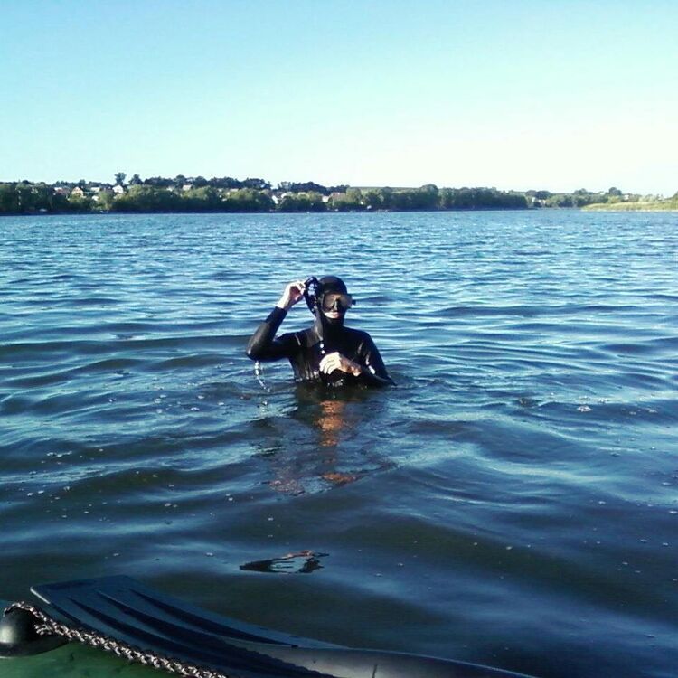  11217208  Xylegan, 43 ,    