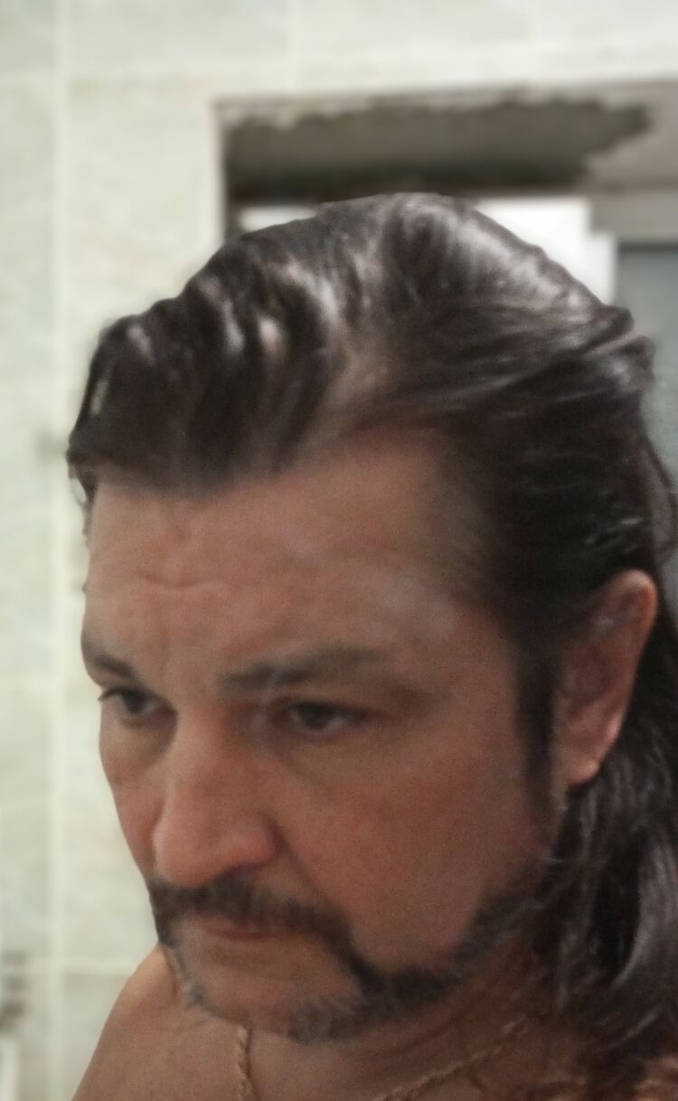  54501058  , 49 ,    -