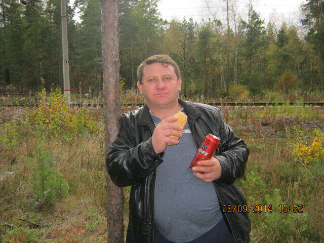  7224538  , 49 ,    -