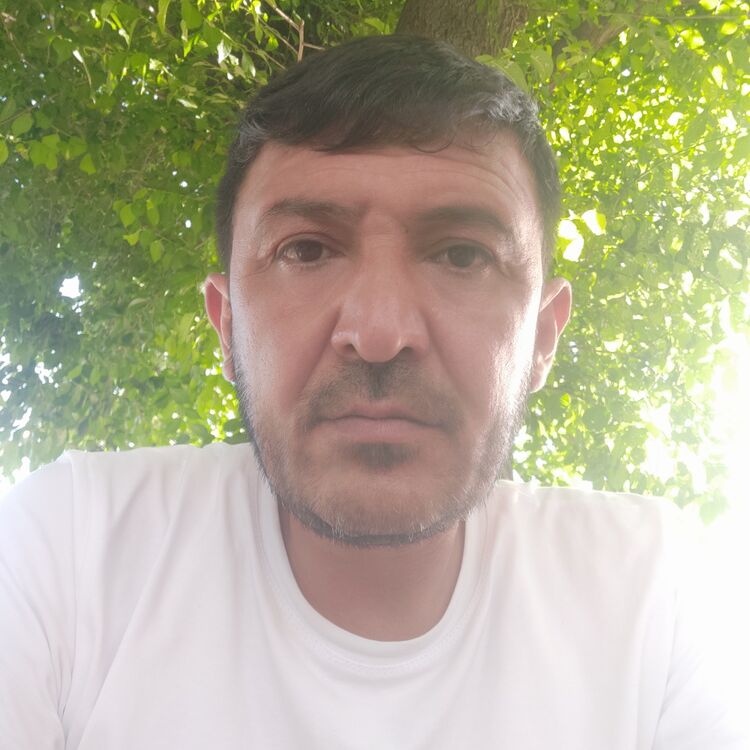  35387218  Vali, 46 ,    