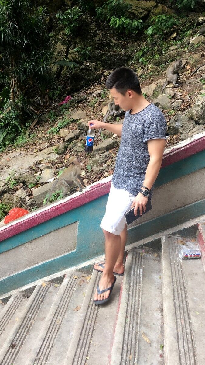 ���������� �������, ���� ������� ������, 29 ���, ������������ ��� ������, ����� � ���������, c�������� ���������