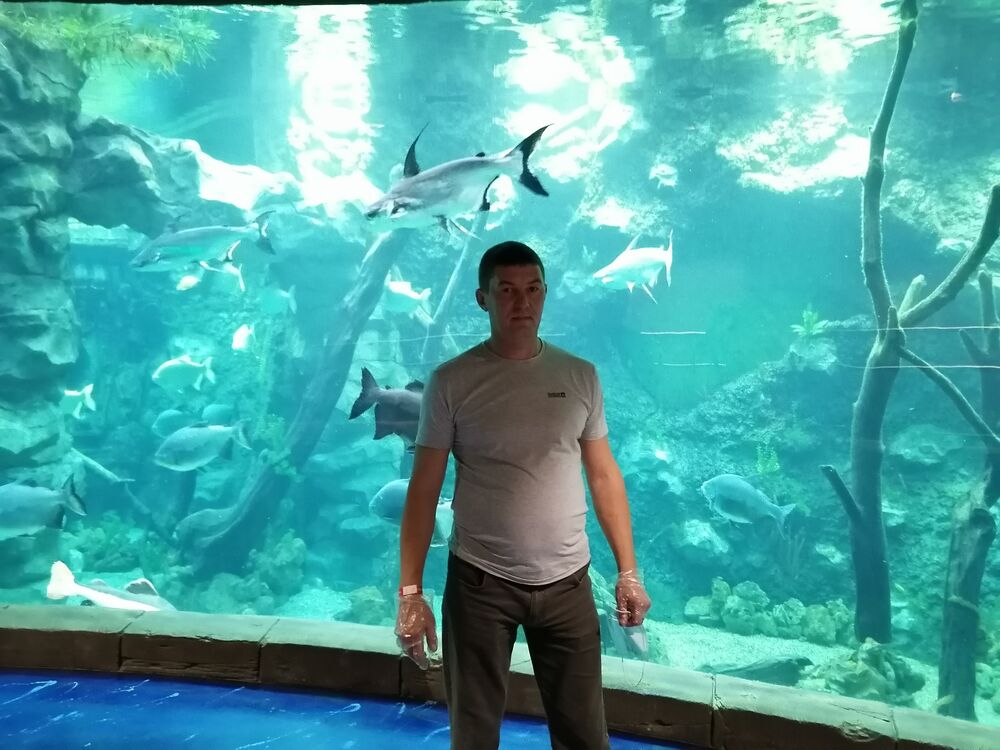  -,   , 44 ,   ,   