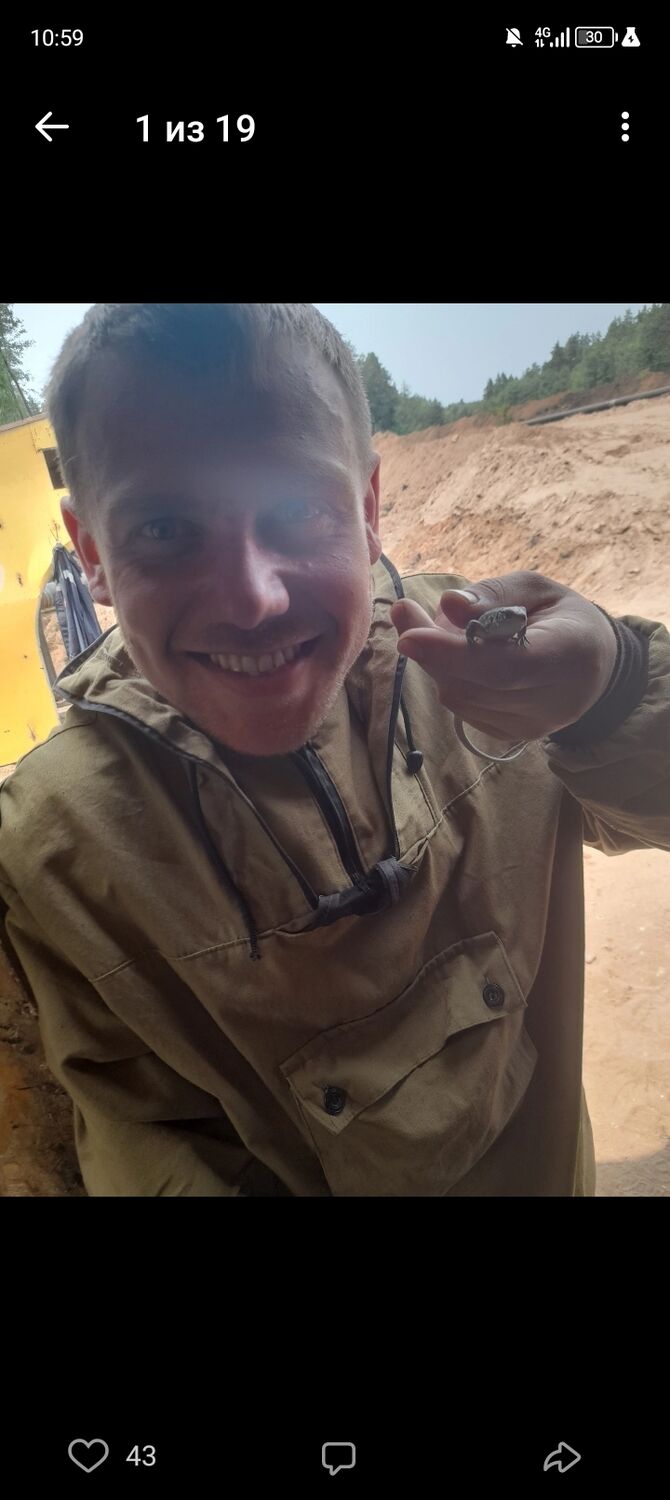 ���� 43535988 ������� ������, 29 ���, ���� ���������� � ����������