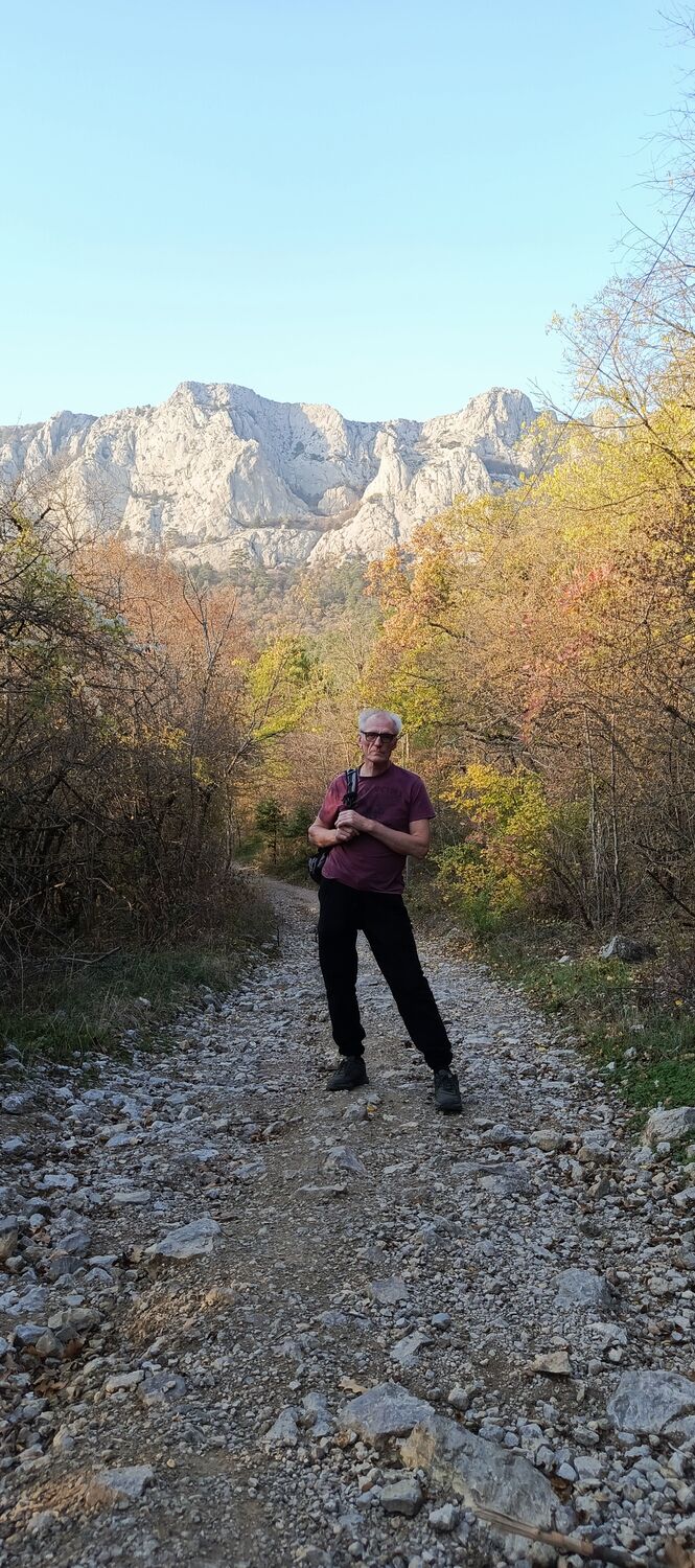 ���������� �����������, ���� ������� �������, 60 ���, ������������ 