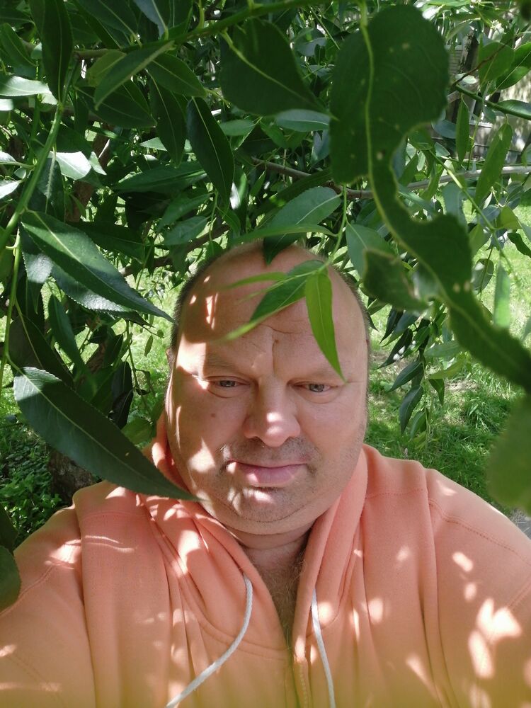  52356958  , 49 ,    