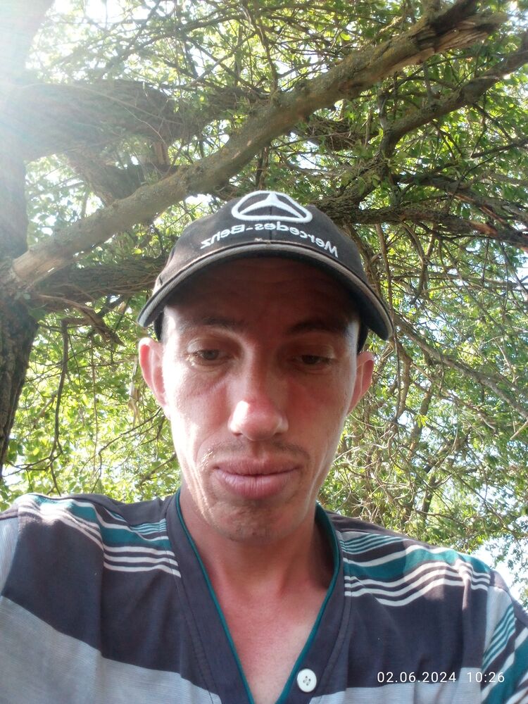  43606138  , 33 ,    