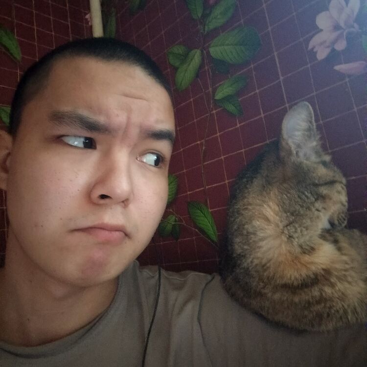 ���� 55691468 ����� �����, 22 ����, ���� ���������� � ���������