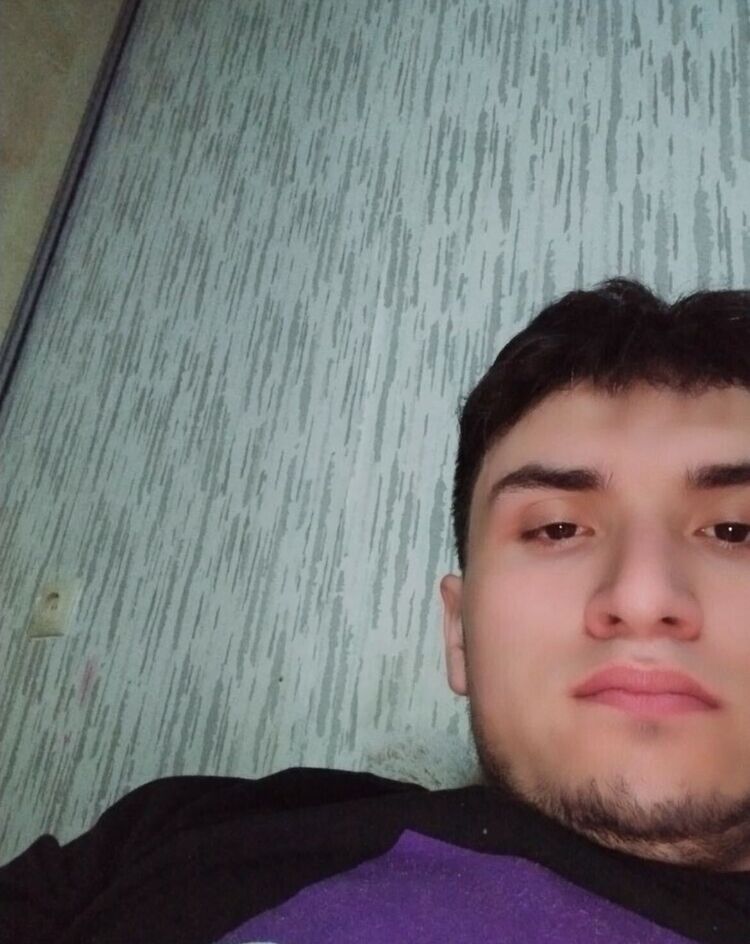  53608248  , 28 ,    