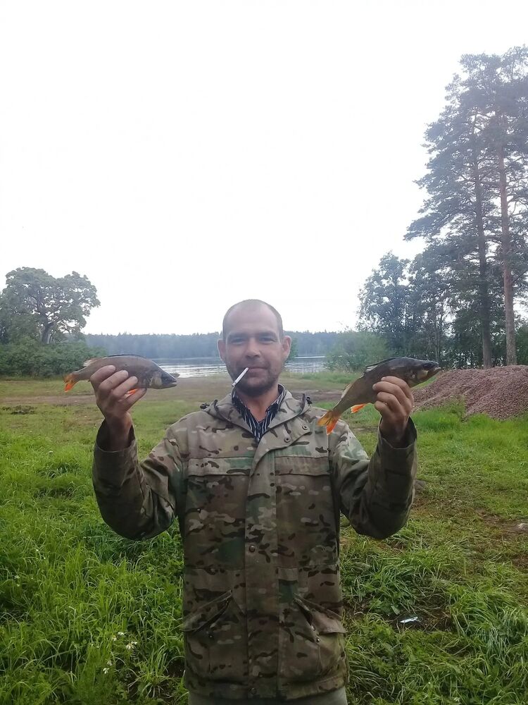 ���������� �����������, ���� ������� ���������, 46 ���, ������������ ��� ����� � ���������, c�������� ���������