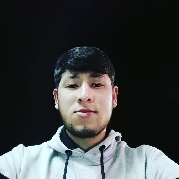 ���� 39564698 ����� �������, 24 ����, ���� ���������� � ������