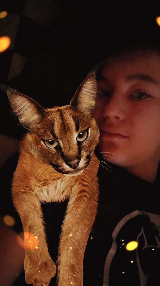 ���������� ������, ���� ����� Maxim, 22 ����, ������������ ��� ������, ����� � ���������