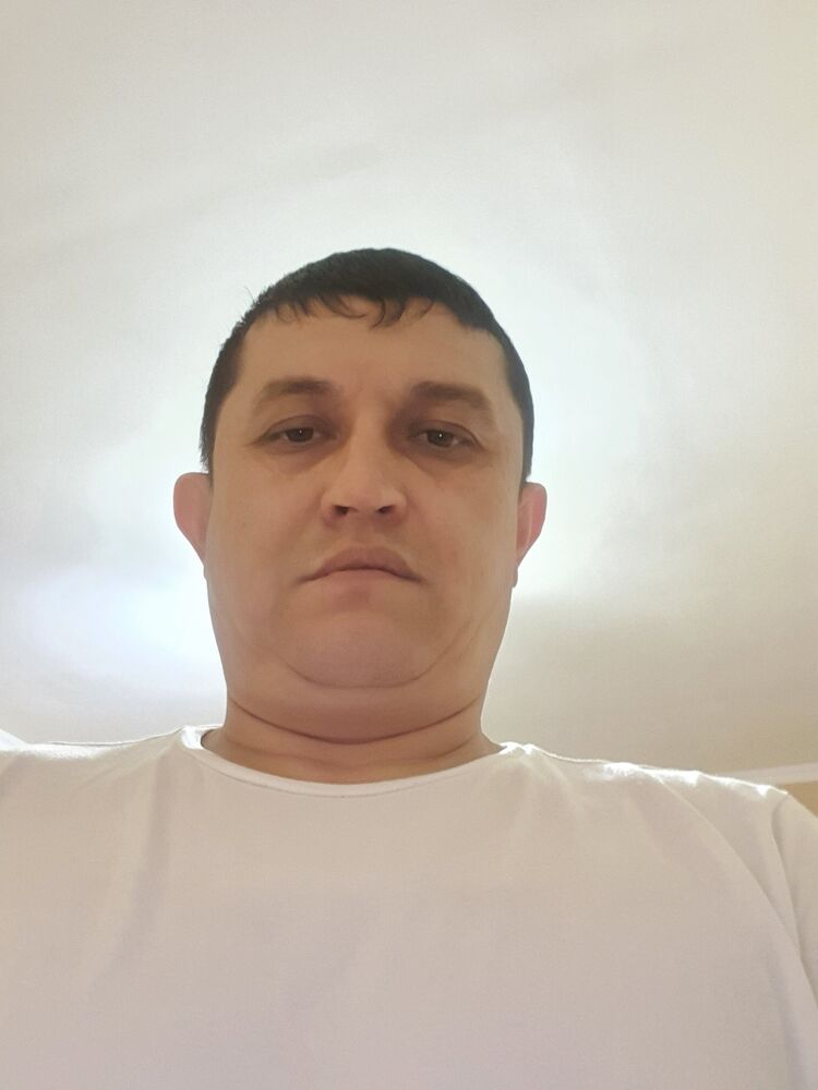 ���� 31225388 ������� Salix, 43 ����, ���� ���������� � ��������