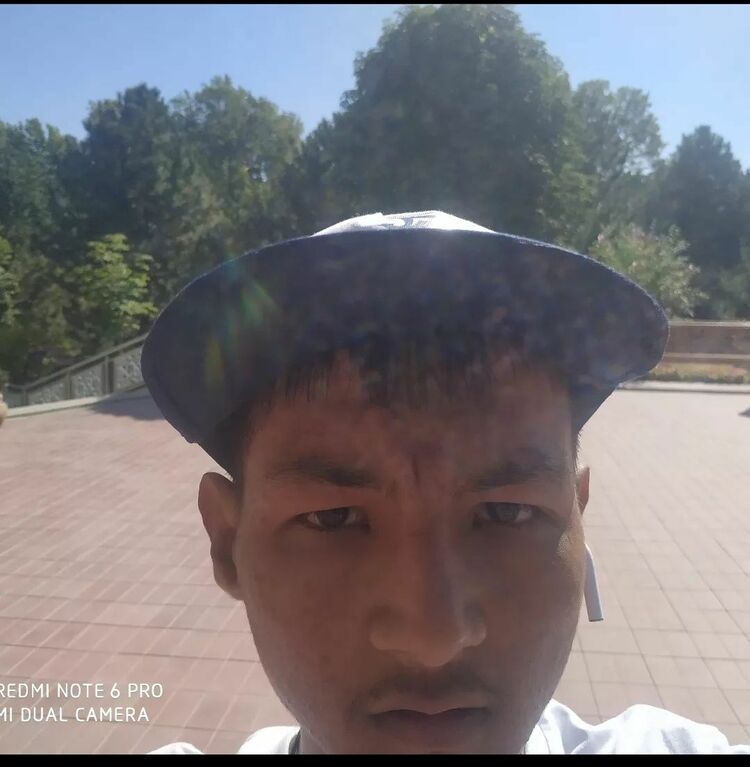 ,    , 21 ,     