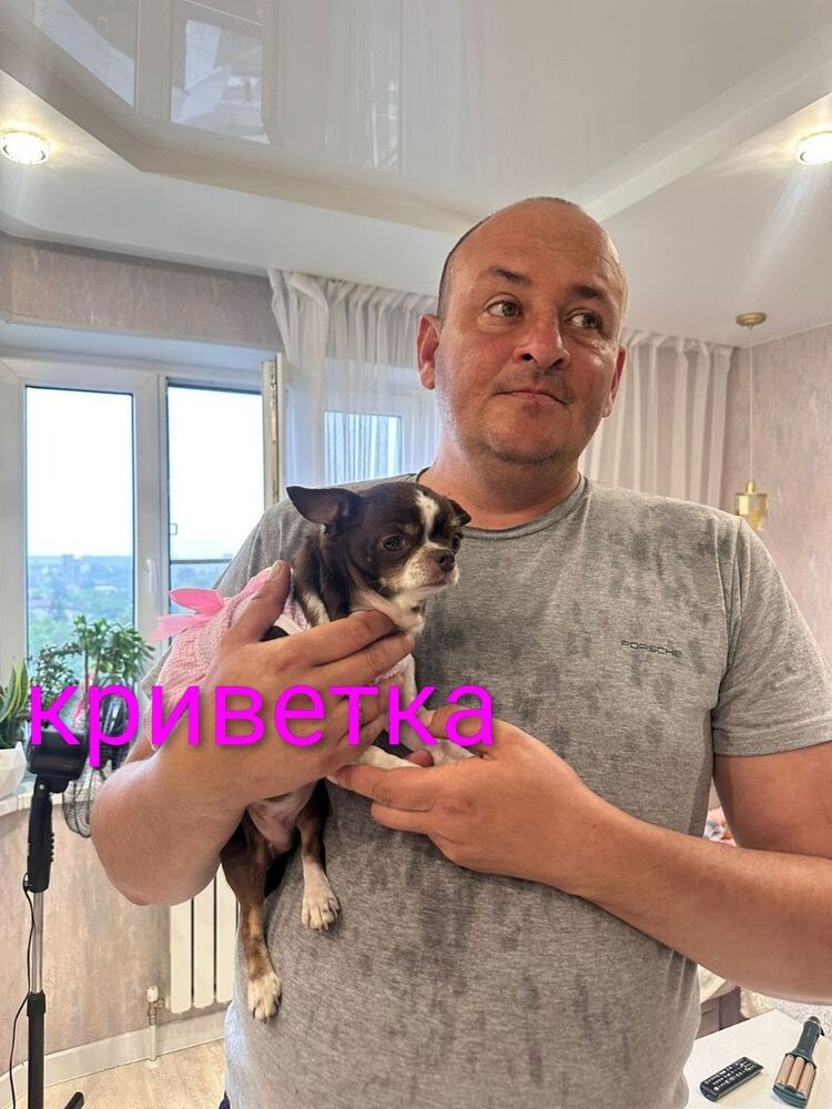 ���� 55686268 ������� ���������, 43 ����, ���� ���������� � ������ ���������