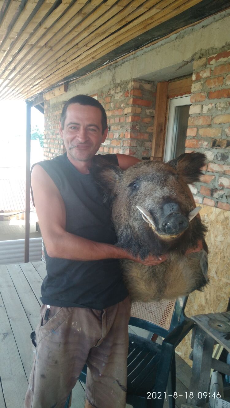 ���� 24997098 ������� ������, 42 ����, ���� ���������� � ���������