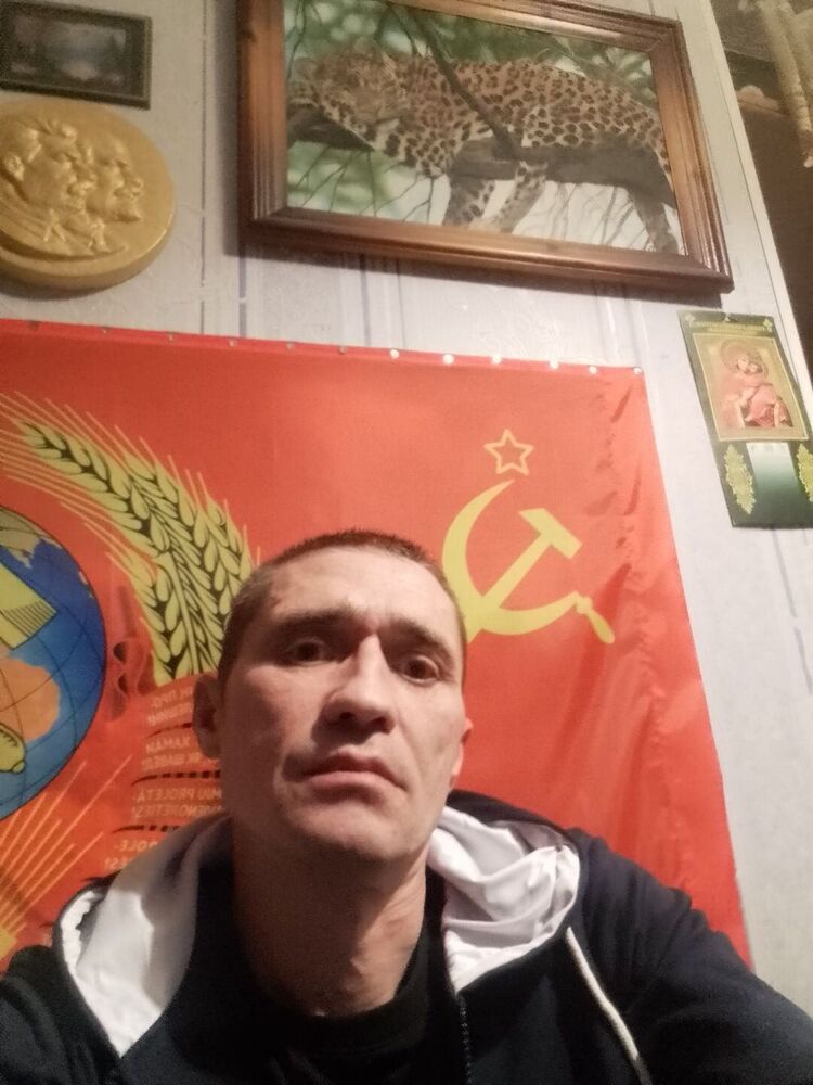  41056498  , 48 ,    