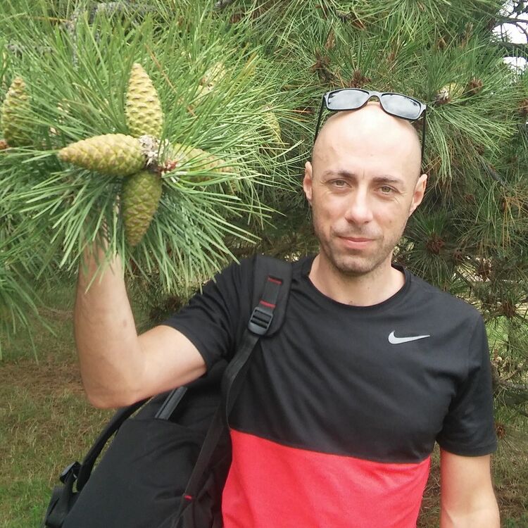 ���� 16706928 ������� ������, 33 ����, ���� ���������� � ���������