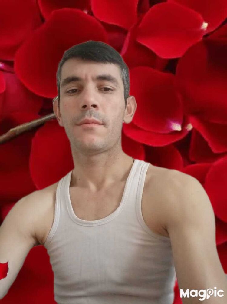  33727788  , 38 ,    