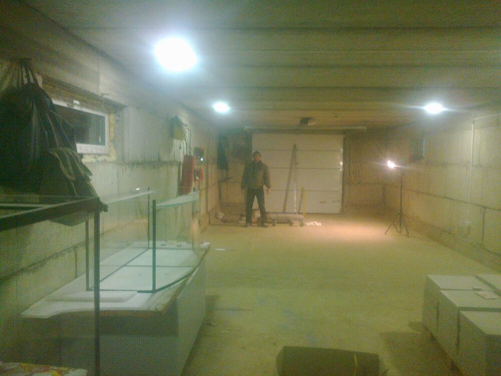 ���������� �����, ���� ������� ������, 39 ���, ������������ ��� ������