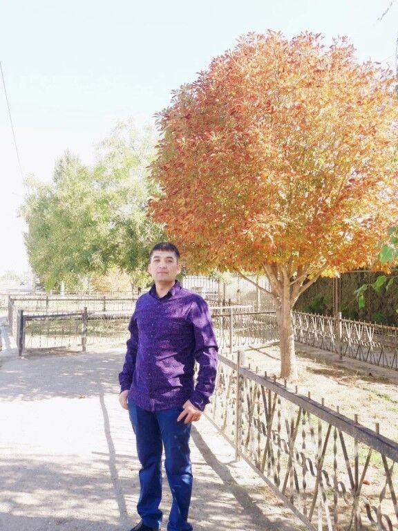 ���������� ���������, ���� ������� �����, 33 ����, ������������ ��� ������, ����� � ���������, c�������� ���������