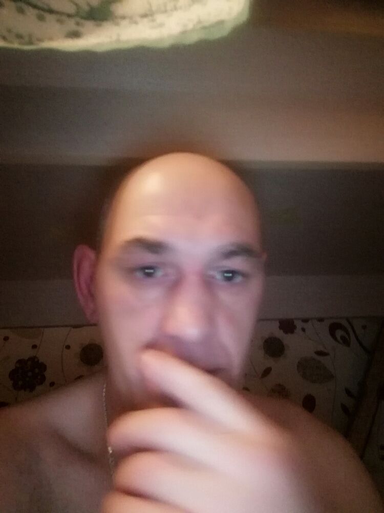  24695088  , 51 ,    