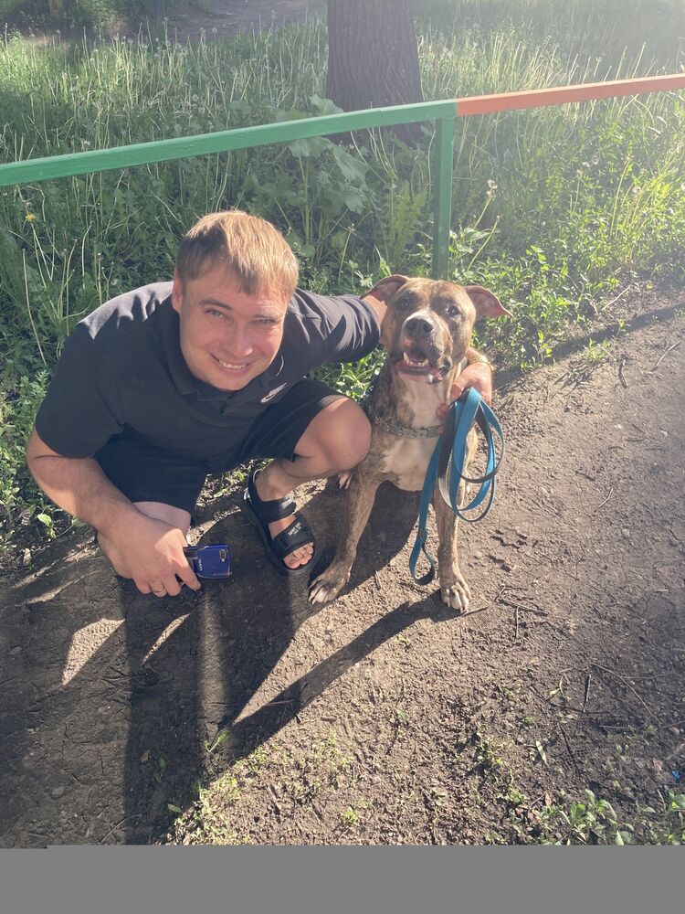 ���������� ���, ���� ������� �������, 35 ���, ������������ ��� ������, ����� � ���������, c�������� ���������