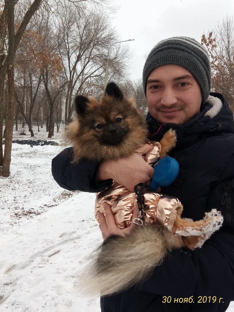 ���� 55480618 ������� �������, 39 ���, ���� ���������� � ������