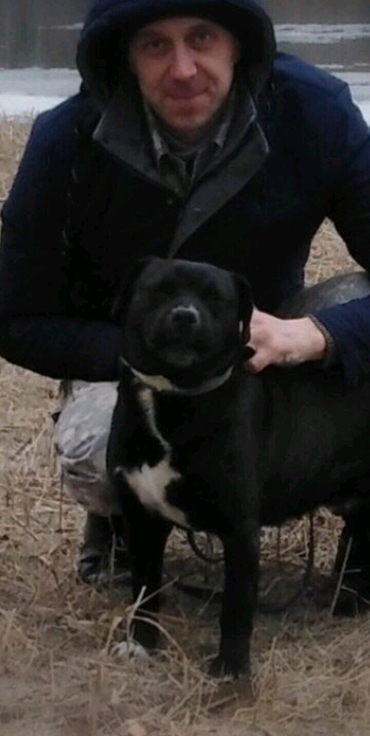 ���������� ���������, ���� ������� ���������, 38 ���, ������������ ��� ����� � ���������, c�������� ���������