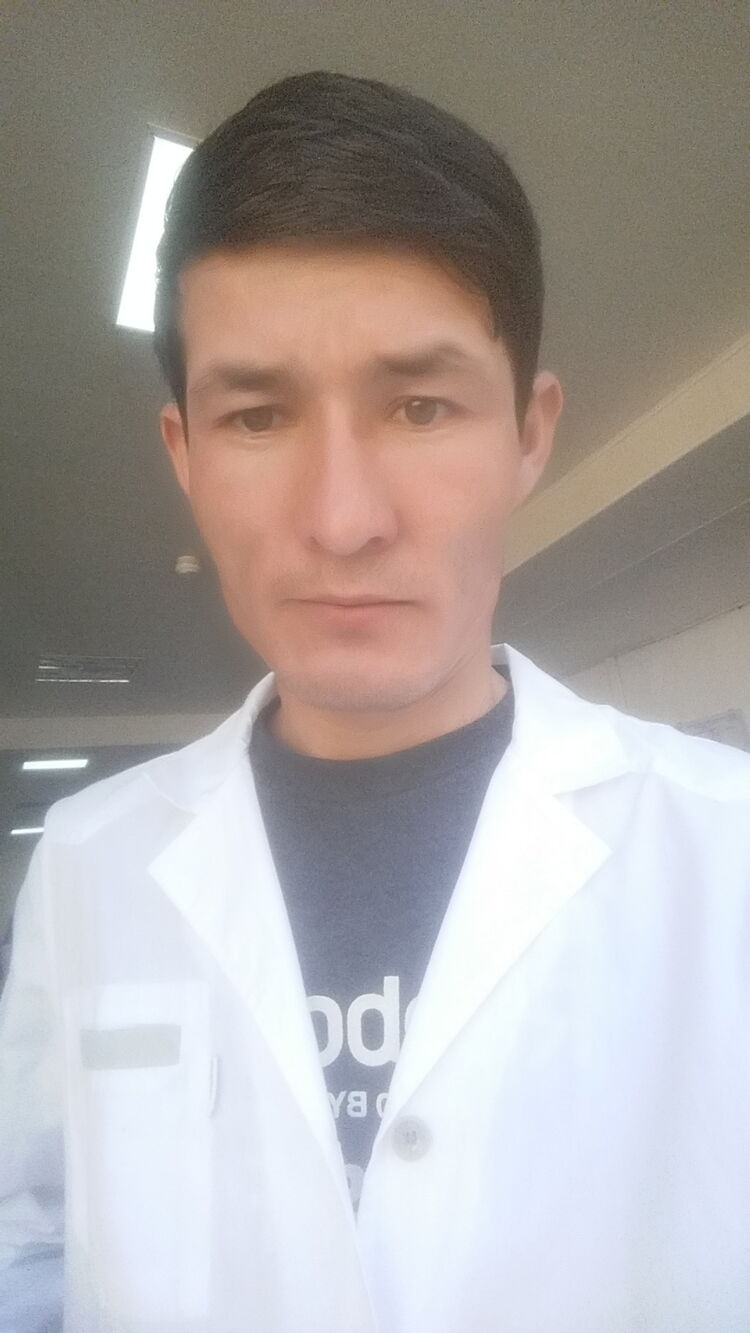  ,   Shoxrux, 31 ,   ,   