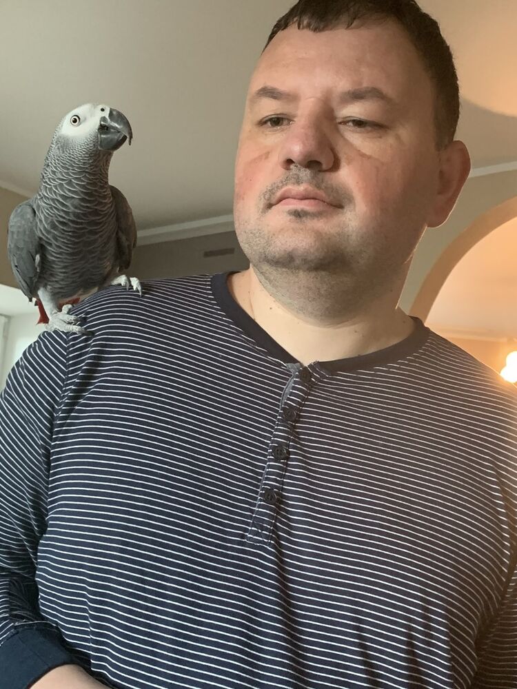 ���� 19482938 ������� �����, 43 ����, ���� ���������� � �����