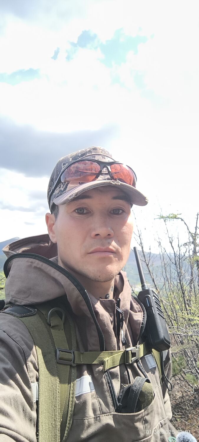  ,   , 37 ,     , 