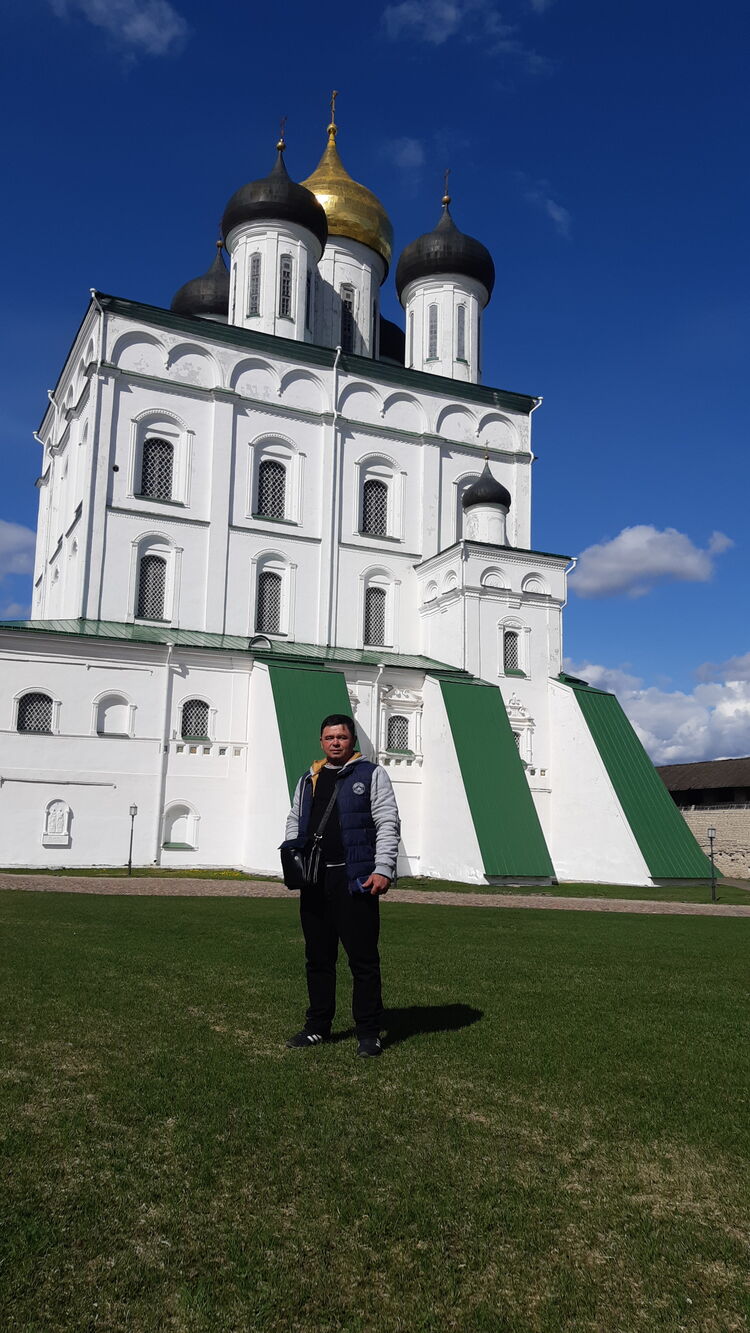  26544788  , 53 ,    -