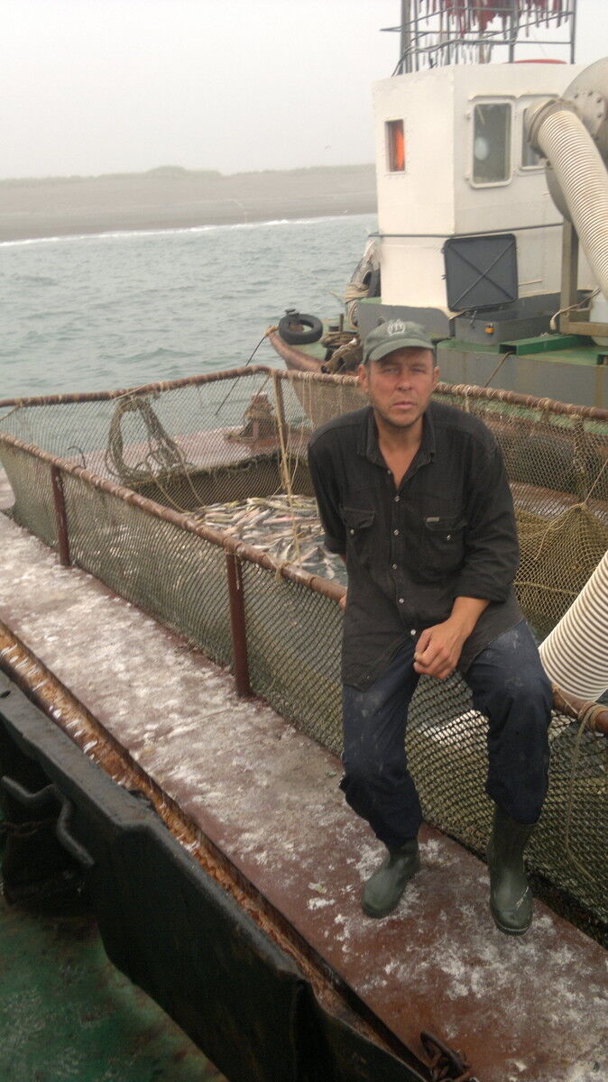  7334288  Alexandr, 58 ,    -