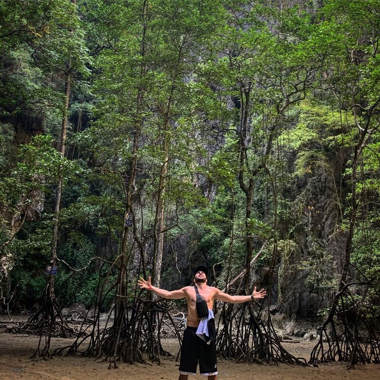 ���� 30678628 ������� ����, 33 ����, ���� ���������� � ����������