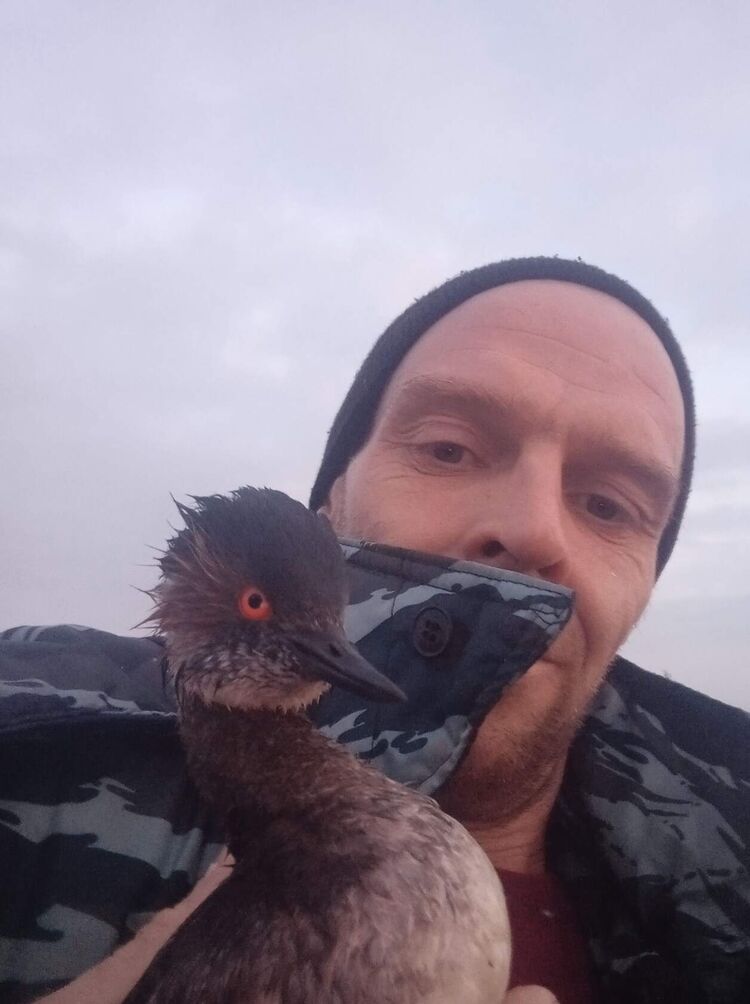 ���������� ���������, ���� ������� �����, 42 ����, ������������ ��� ������, ����� � ���������