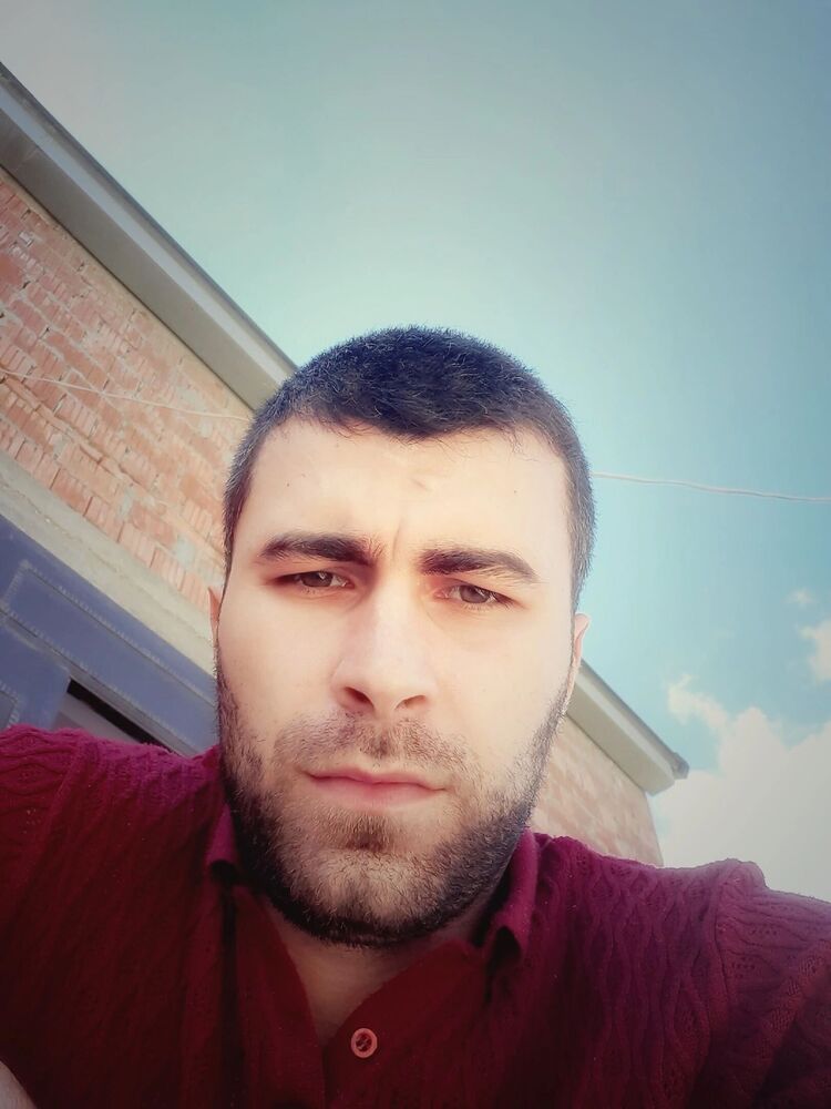  33956368  , 31 ,    