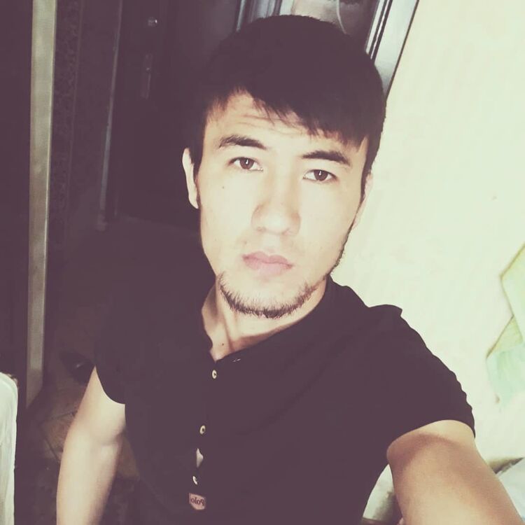  31285468  , 30 ,    