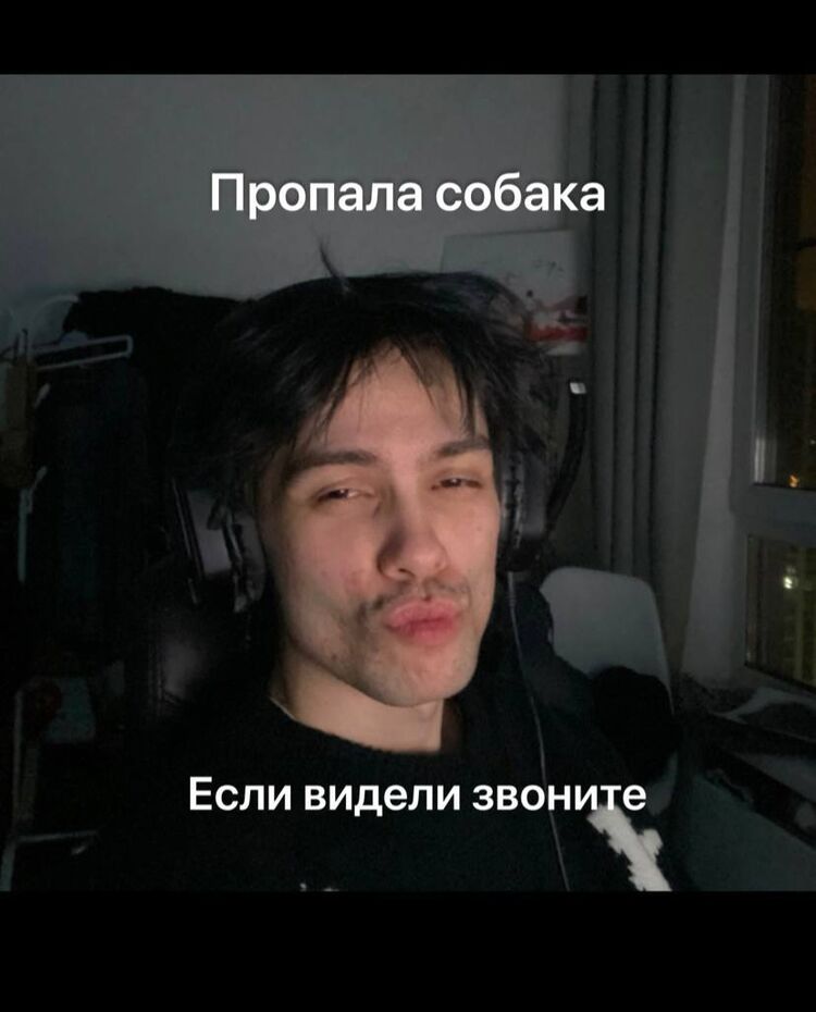 51615198  , 24 ,    