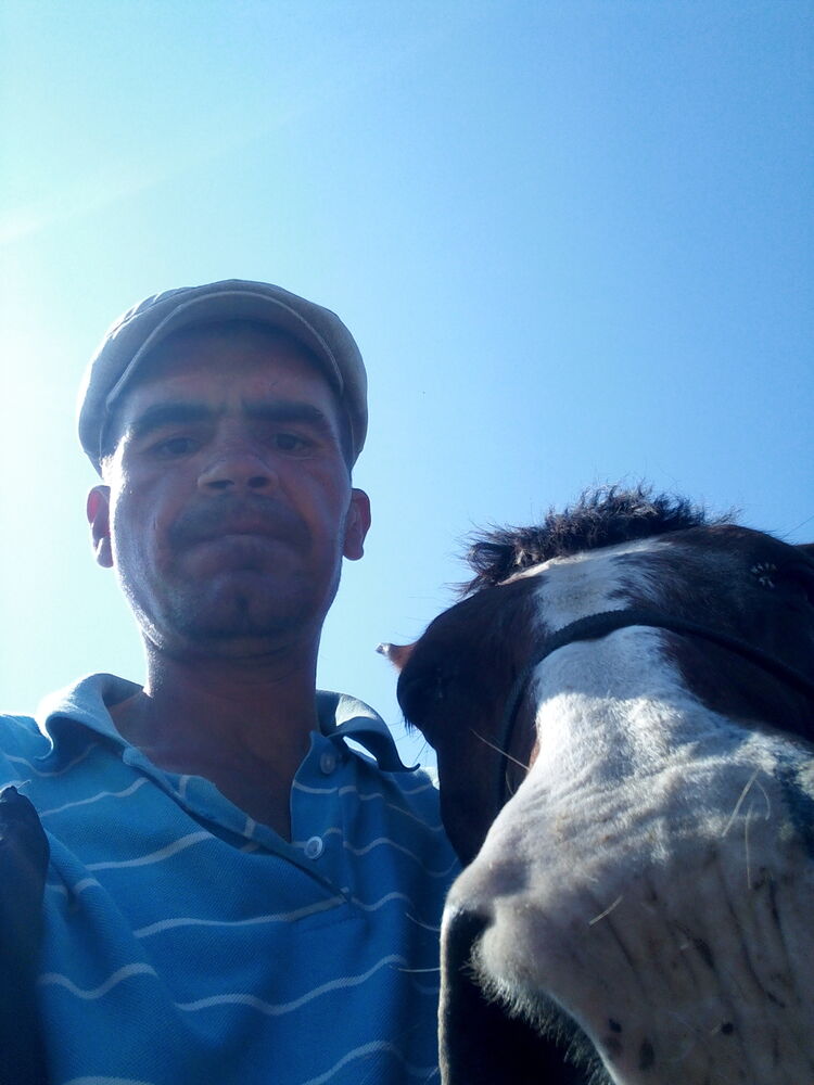 ���������� ������, ���� ������� �����, 42 ����, ������������ ��� ������, ����� � ���������