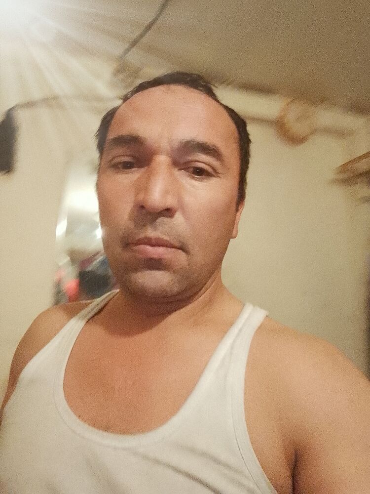  34141988  , 44 ,    
