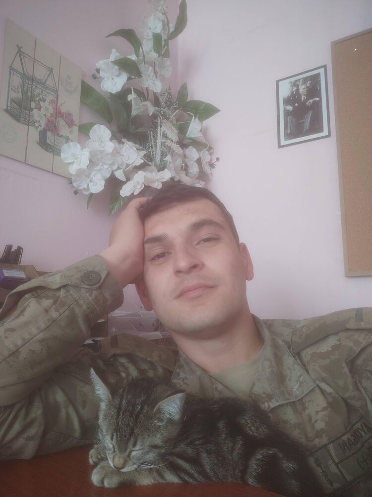  ,   Alp, 27 ,   ,   