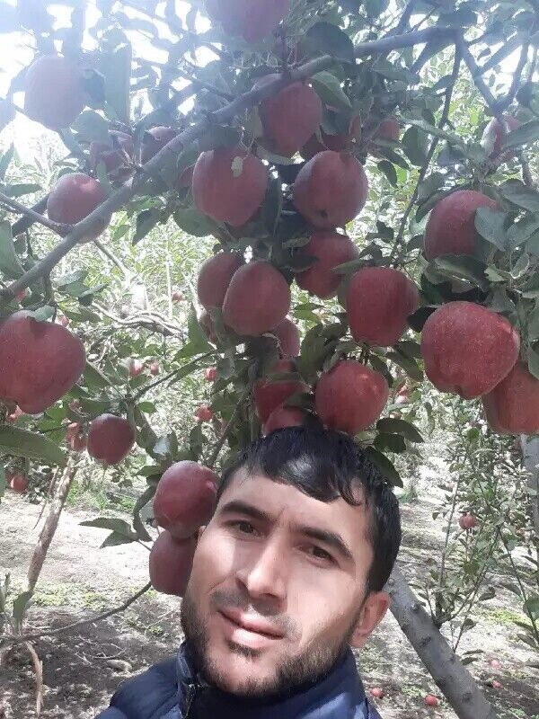 ���������� ������, ���� ������� �����, 33 ����, ������������ ��� c�������� ���������