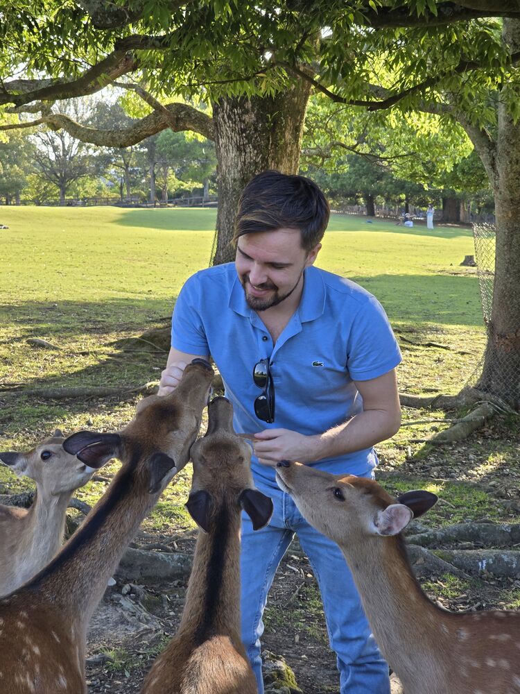  47981088  , 34 ,    -