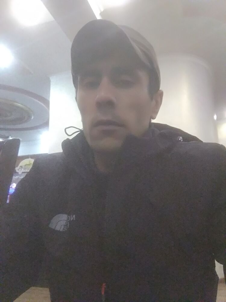 ���� 24275458 ������� Camil bow, 34 ����, ���� ���������� � ������